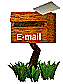 Weekly Email